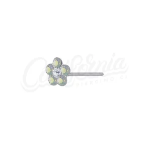 Piercing flor tornasol
